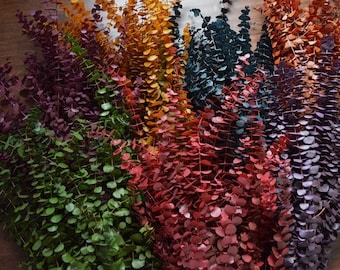 May include: Assortment of dried eucalyptus stems in various colors, including green, red, orange, blue, and purple.