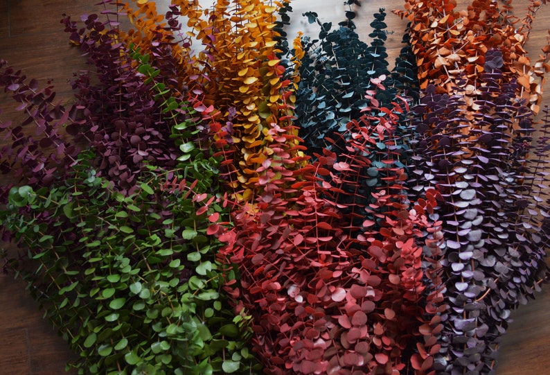 A collection of dried eucalyptus branches dyed in various colors, including purple, green, orange, red, amber, plum and blue. Order by weight in small amounts like 1/4 lb. or large amounts like 1 or 2 lbs. Lengths range from 12-28 inches. Great for any room as the fragrance naturally creates a calming effect. The eucalyptus is dyed, washed and preserved to the it will last up to 10 years without the color fading. Indoor use only. Also available in wreaths of various color combinations.