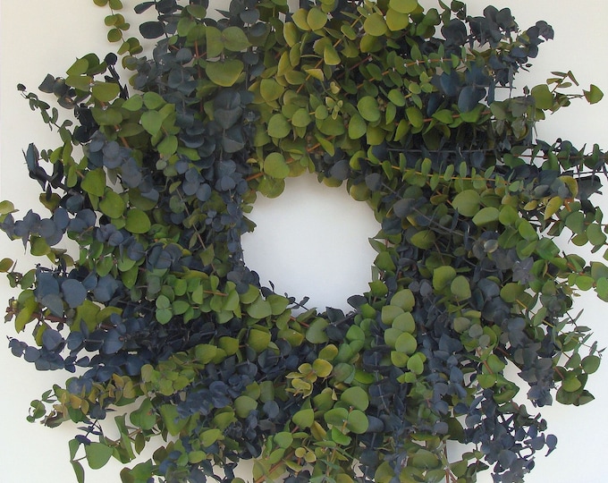 Green and Blue Eucalyptus Wreath- Other Colors Also Available 16, 20 or 24 Inch Diameter Preserved, Colorful Durable, Fragrant Neutral Decor