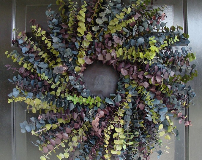 Summer Cool Eucalyptus Wreath- Eucalyptus Wreath- 16, 20 or 24 inch Dried Floral Wreath