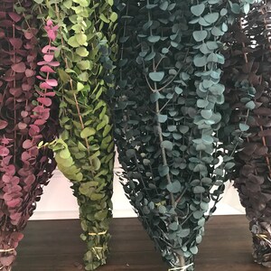 Four bundles of dried eucalyptus branches in various colors, including burgundy, green, teal, and dark purple. Order by weight in small amounts like 1/4 lb. or large amounts like 1 or 2 lbs. Lengths range from 12-28 inches. Eucalyptus is dyed, washed & preserved to the it will last up to 10 years without fading. Indoor use only.