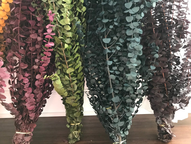 Four bundles of dried eucalyptus branches in various colors, including burgundy, green, teal, and dark purple. Order by weight in small amounts like 1/4 lb. or large amounts like 1 or 2 lbs. Lengths range from 12-28 inches. Eucalyptus is dyed, washed & preserved to the it will last up to 10 years without fading. Indoor use only.