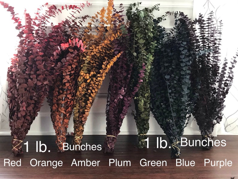 Dried eucalyptus stems in various colors, including red, orange, amber, plum, green, blue, and purple. Each color is 1 lb. bundled together with twine and labeled with the color name. Order by weight in small amounts like 1/4 lb. or large amounts like 1 or 2 lbs. Lengths range from 12-28 inches. Eucalyptus is dyed, washed & preserved to the it will last up to 10 years without fading. Indoor use only.