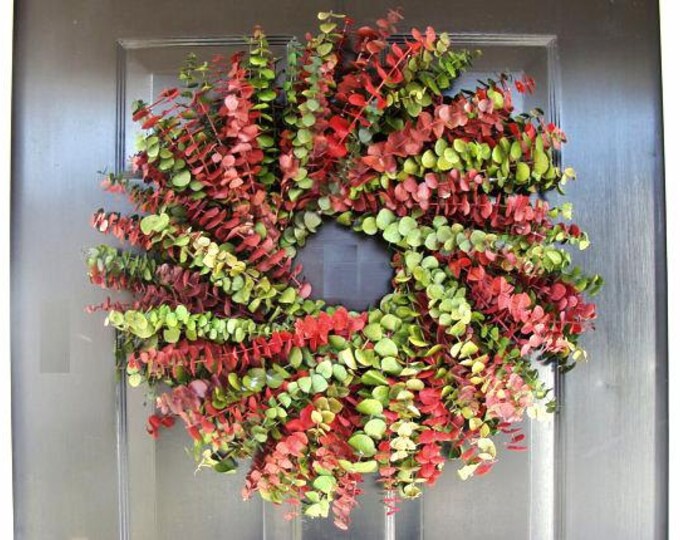 Red Green Eucalyptus Christmas Wreath, Eucalyptus Holiday Gift, Front Door Decor  16- 24 inch