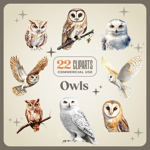 22 cliparts hiboux - 300 DPI png, harfang des neiges blanc, chouette effraie des clochers, chouette elfe brun, oiseau de nuit mystique des bois, style Aquarelle vintage, dessinés à la main