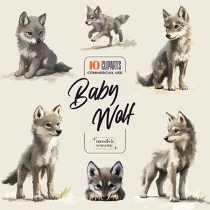 Cute Baby Wolf Cliparts Sammlung, digitaler Download, hochwertige PNG-Bilder für Druck und Web, kommerzielle Nutzung, transparenter Hintergrund