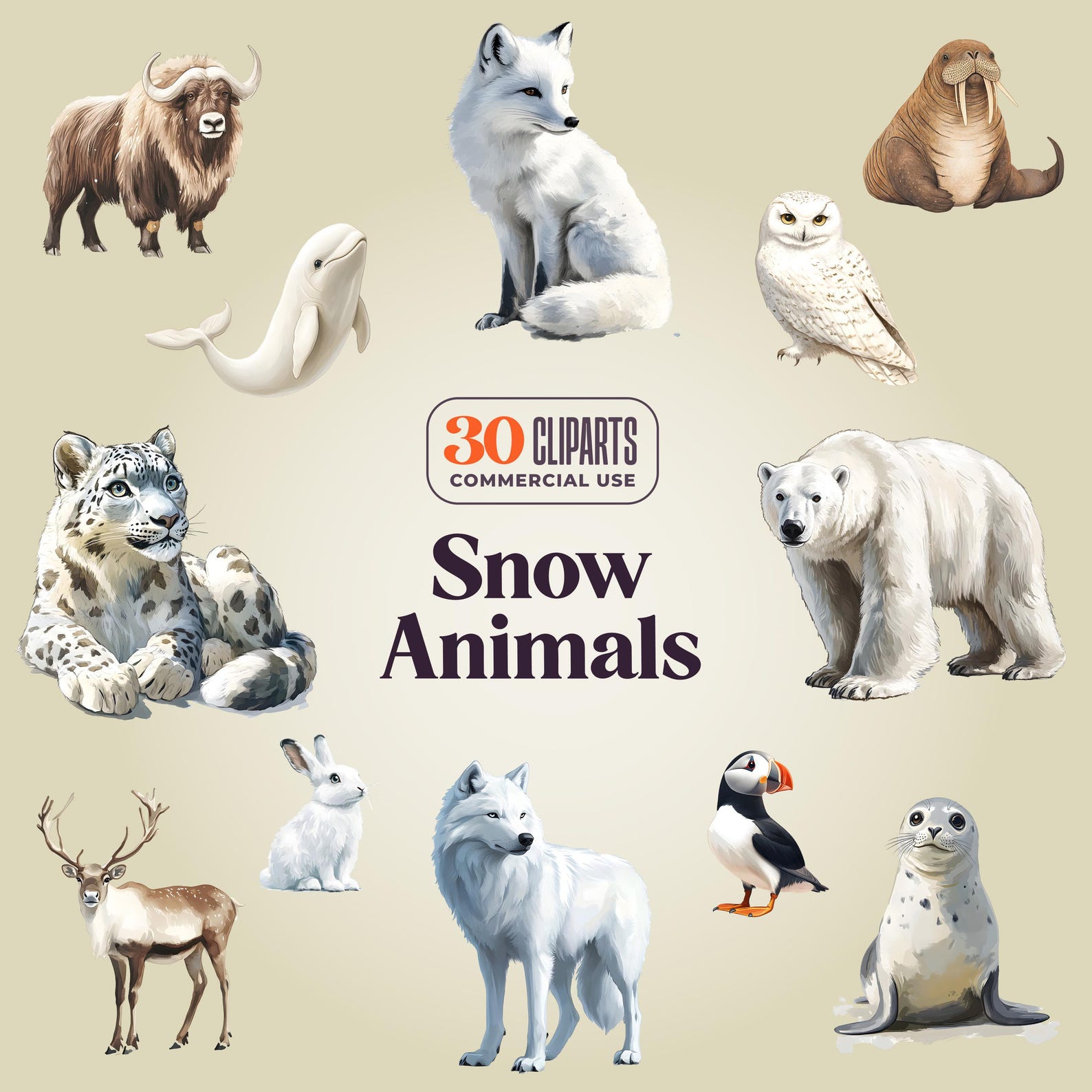 Snow Animals Clipart – Arctic & Polar Wildlife PNG (digital Download ...