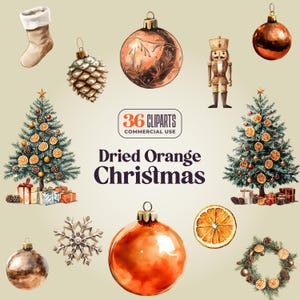 36 imágenes prediseñadas de elementos orgánicos naturales y amaderados de Navidad de naranja seca - 300 DPI - Casa de campo de vacaciones minimalista - Bronce, piña, terroso