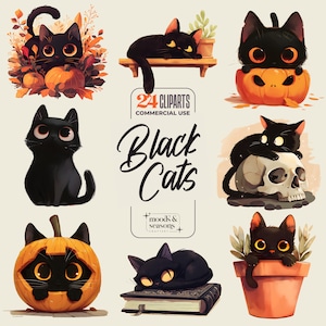 24 Black Cats Cliparts - 300 DPI png - Halloween cute elements - included borders and Washs - Cartoon Style