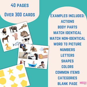 May include: Educational flashcards with animal, action, and shape examples. The cards include 40 pages and over 300 cards. Examples include actions, body parts, numbers, letters, shapes, colors, and common items.