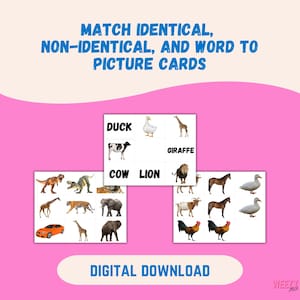 May include: A pink background with the text "MATCH IDENTICAL, NON-IDENTICAL, AND WORD TO PICTURE CARDS." The image shows cards with animal pictures and words like "DUCK," "COW," and "LION." The words "DIGITAL DOWNLOAD" are also present.