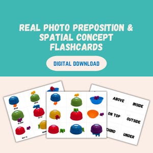 May include: Educational flashcards with colorful bowls and toy animals demonstrating prepositions like "above," "below," and "on top." The cards are labeled with prepositional terms and are a digital download.