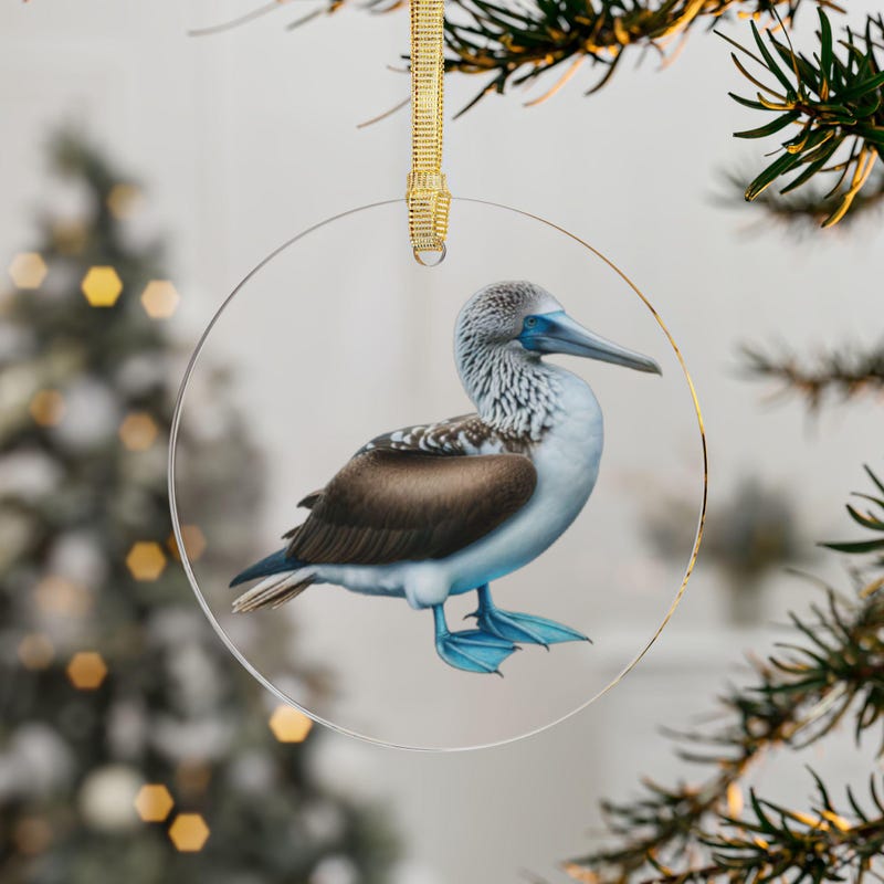 Booby Christmas Etsy