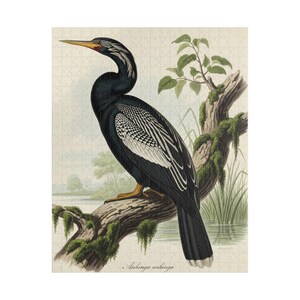 Peut inclure: Un puzzle représentant une illustration de style ancien d'un anhinga perché sur une branche d'arbre moussue. L'oiseau a un plumage noir avec des marques alaires blanches, un long cou et un bec jaune pointu. Le texte Anhinga anhinga est imprimé en bas.