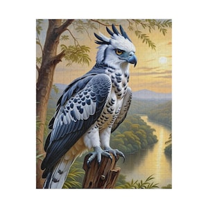 Puzzle aigle harpie, amateur d&#39;oiseaux, amusement de la nature à l&#39;intérieur