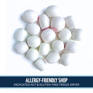 Freeze Dried Hi-Crunch l Freeze Dried Candy l Gluten Free Candy | TikTok Viral Candy | Space Candy | Dye-Free Candy