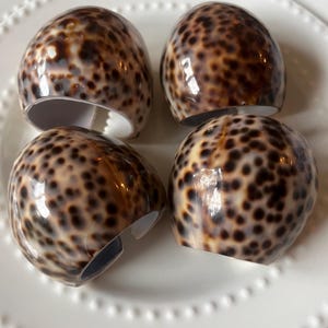 May include: Four brown and white seashell napkin rings. The rings are oval shaped and have a glossy finish.
