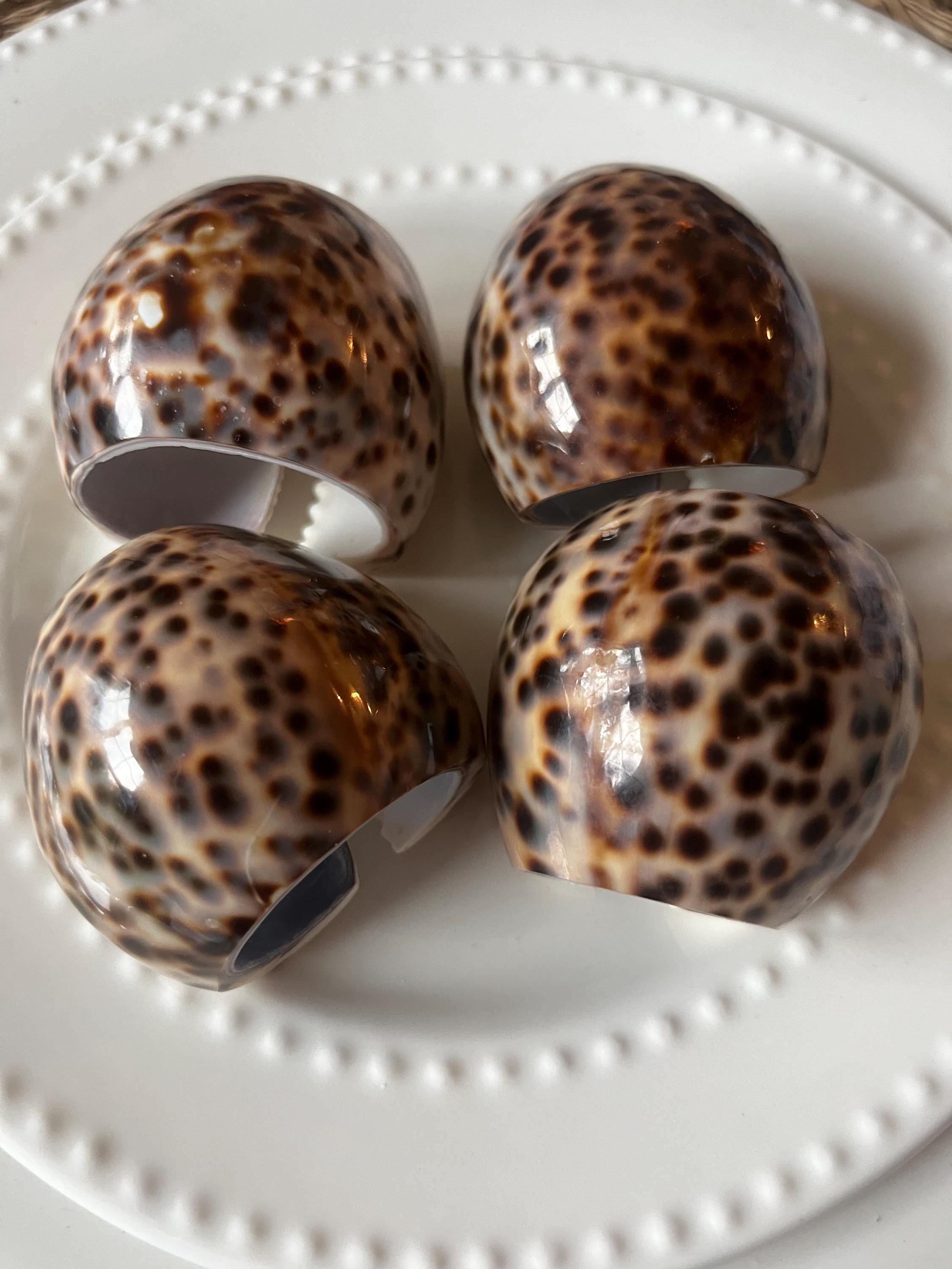 Tiger Cowrie Shell Napkin Rings. Each Napkin Ring is 10. - Etsy