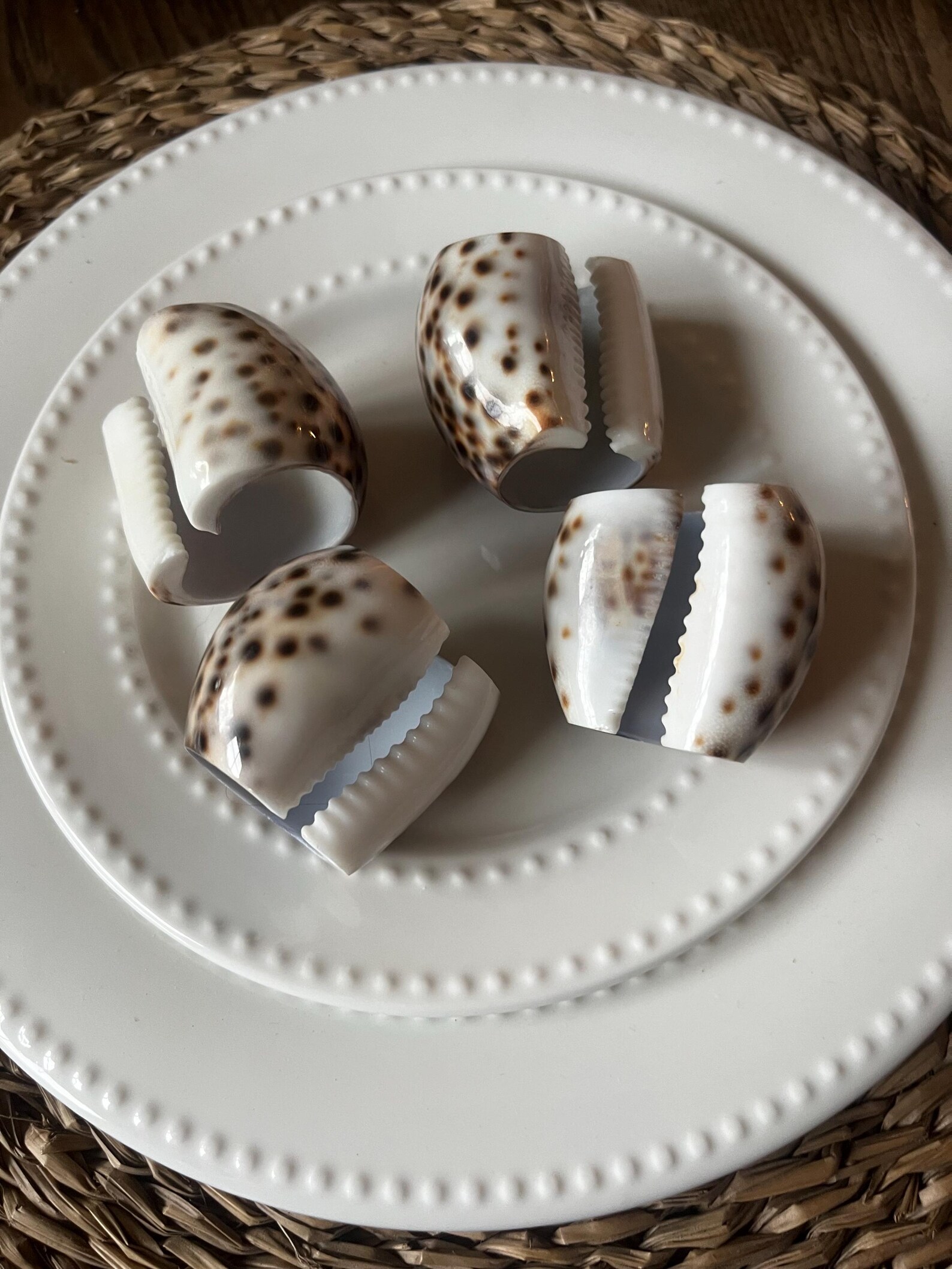 Tiger Cowrie Shell Napkin Rings. Each Napkin Ring is 10. - Etsy