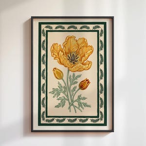 May include: Framed botanical print. A large yellow flower with two buds and green leaves is set against a cream background with a green border and a black frame. A decorative piece for home decor.