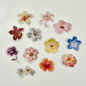 以下が含まれることがあります： カラフルな花のステッカー11枚セット。ハイビスカス、ユリ、ラン、バラなど、さまざまな花が描かれています。クラフト、ジャーナル、プランナーに自然の雰囲気を加えるのに最適です。