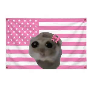 Bandiera divertente Sad Hamster USA (3 x 5 piedi) per casa dello studente, casa universitaria, camera da letto, corridoi, dormitorio, decorazione divertente