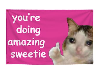 You're Doing Amazing Sweetie Funny Flag (3x5ft) For Student House, Uni House, Bedroom, Halls, Dorm Room, Funny Decoration