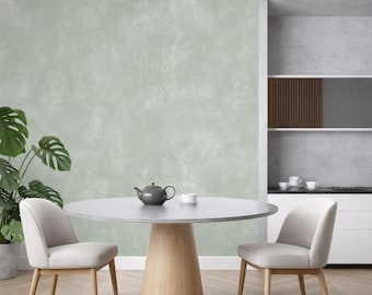Light Sage Green Faux Plaster Wallpaper Peel And Stick Woven Texture Soft Muted Pastel Green Pre Pasted Interior Wallpaper Minimalist Wall