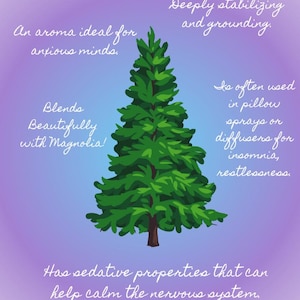 Cedarwood Delight Botanical Perfume