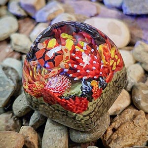 Sea Turtle keycap, Ocean Kecap, Custom Keycap, Character Keycap, Birthday Gift, Christmas gift