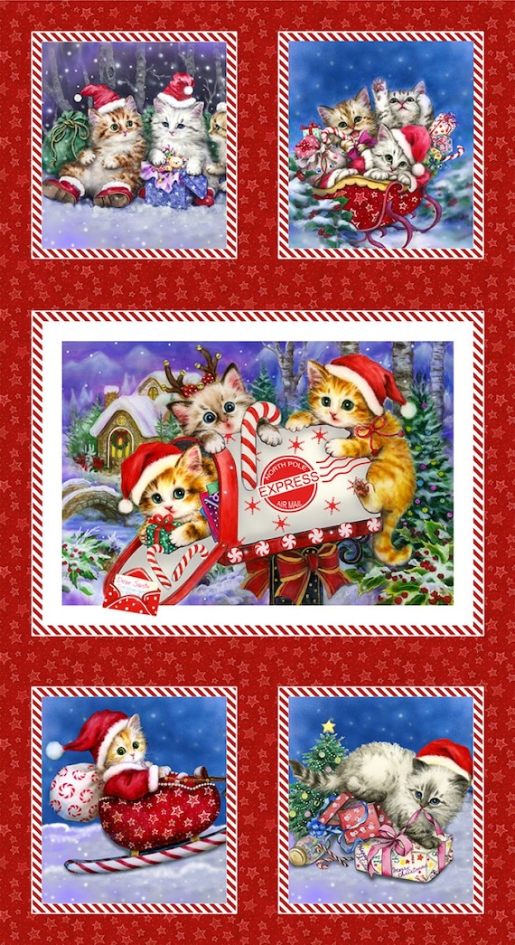 more-cats　どんぐりひろたん Kitten Christmas Digitally Printed Red Multi Block Panel