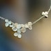 see more listings in the Necklace section