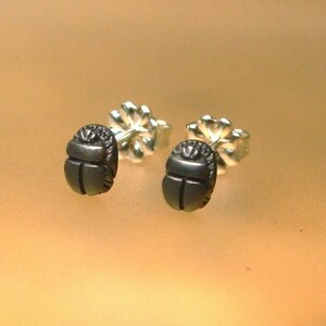 May include: A pair of silver earrings with a small, detailed scarab beetle design.