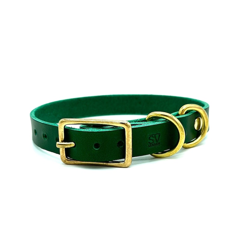 Brass Dog Collar - Etsy