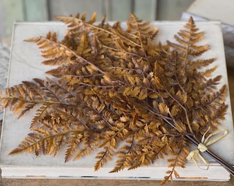 Artificial Autumn Fern Bundle Cinnamon. Faux Fall Foliage. High Quality Faux Ferns. Realistic Floral Arrangement Supplies. Brown Fall Stems.
