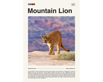 Puede incluir: Un león de montaña, también conocido como puma, cougar o pantera, camina por un paisaje desértico rocoso. El animal es de color canela con un pecho blanco y una cola larga. El fondo es un púrpura y azul brumoso.