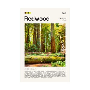 Redwood Digital Download Poster, Redwood Digital Download, Redwood National Park, National Park Digital Download, National Park, Redwood