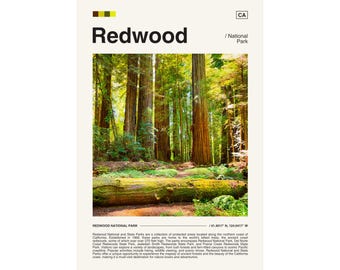 Redwood National Park Poster, California Forest Print (Digital Download)