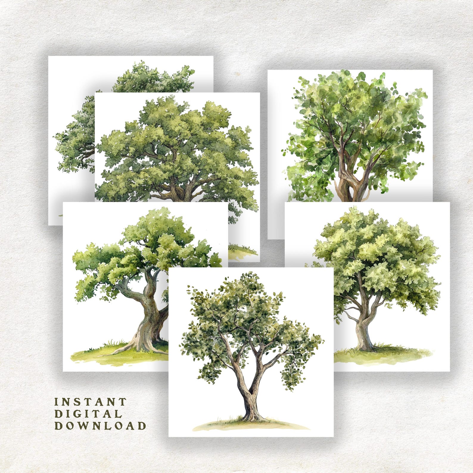 Watercolor Tree Clipart Set – 75 Nature Illustrations (digital Download ...
