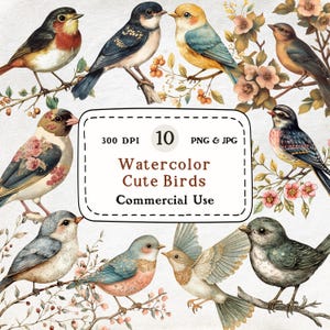 Cute Birds - 10 Watercolor Songbird Clipart, Floral Birds, Vintage Bird Illustration, Bluebird Sparrow Finch PNG, Animal Art, Commercial Use