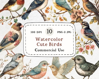 Clipart de pássaro canoro em aquarela – Pássaro floral vintage PNG (uso comercial)