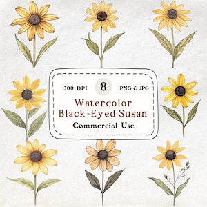 8 Watercolor Black-Eyed Susan Clipart, Wildflower Bundle, Yellow Coneflower, Floral Botanical Illustration, Garden Bloom Art, Commercial Use