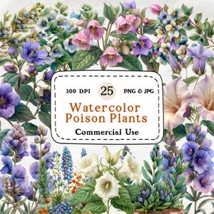 Giftige planten - 25 aquarel clipart set, giftige heksenkruiden, dodelijke nachtschade, vingerhoedskruid, doornappel, hemlockspar, bilzekruid, gif clipart