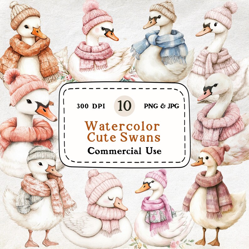 Watercolor Swan Clipart Set – Cute Animal Graphics (digital Download ...