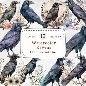 Op de afbeelding: Waterverfillustraties van raven in verschillende poses, met een palet van blauw, grijs en zwart. De afbeelding bevat bloemaccenten en de tekst "Watercolor Ravens Commercial Use". De afbeelding is 300 DPI en bevat 10 PNG- en JPG-bestanden.
