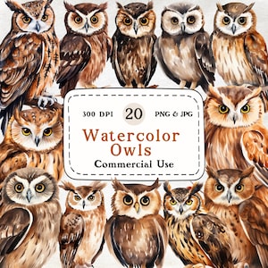 Eulen - 20 Aquarell Clipart Set, süße Eule, Tier Clipart, Herbst Illustrationen, 300 DPI, digitaler Download, Scrapbooking, kommerzielle Nutzung