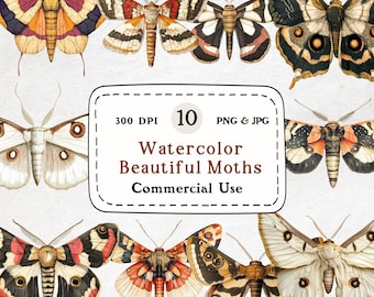 Watercolor Moths Clipart – Vintage Insect Graphics (PNG & JPG)