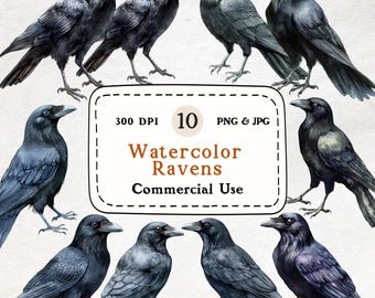 Watercolor Raven Clipart Set – 10 PNG & JPG Illustrations (Digital Download)