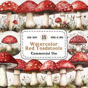 Champignons vénéneux - ensemble de 15 cliparts aquarelle, clipart amanite mouche, art féerique champignon, Amanita muscaria, illustrations de la nature fantaisiste, champignons