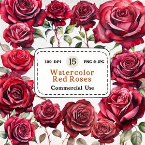 Red Roses - 15 Watercolor Clipart Set, Red Rose Clipart, Flower Illustration, Valentine&#39;s Day Flowers, Commercial Use, Digital Download